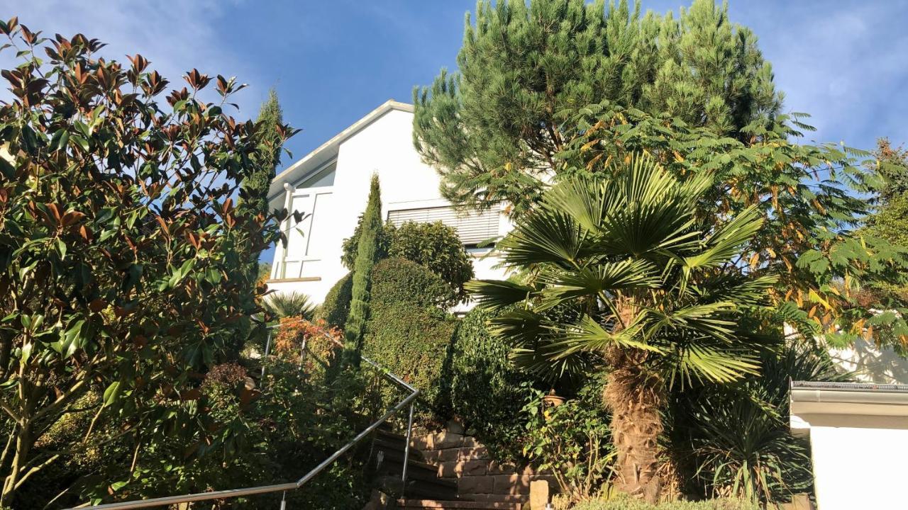 Ferienwohnung Palmenalm Бад Орб Екстериор снимка